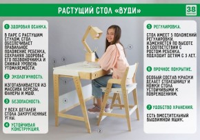 Комплект растущий стол и стул с чехлом 38 попугаев «Вуди» (Серый, Береза, Салют) в Игриме - igrim.mebel-74.com | фото
