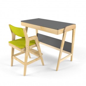 Комплект растущий стол и стул с чехлом 38 попугаев «Вуди» (Серый, Без покрытия, Грин) в Игриме - igrim.mebel-74.com | фото