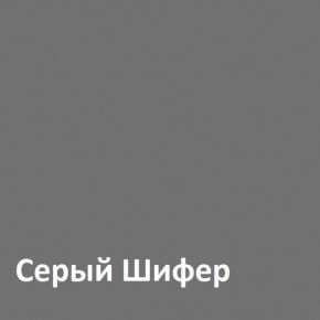 Юнона Шкаф торцевой 13.221 в Игриме - igrim.mebel-74.com | фото